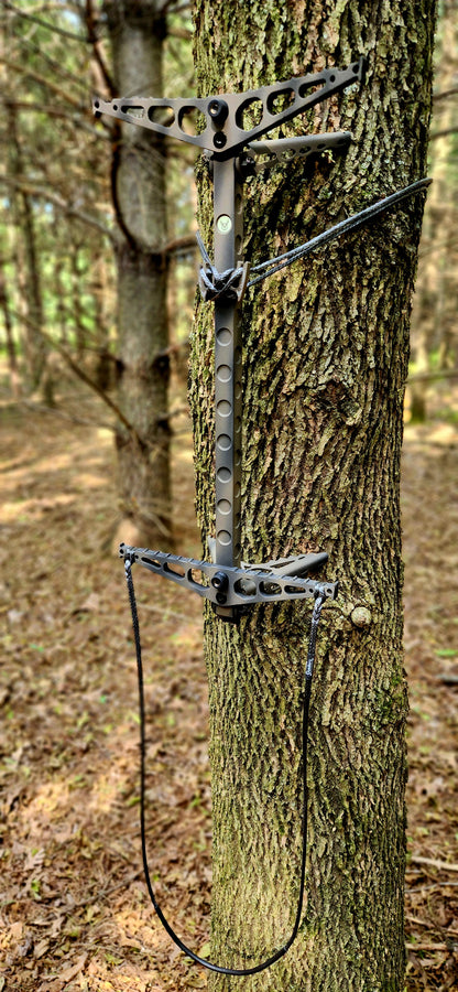 SINGLE Step 1/8" Amsteel Aider