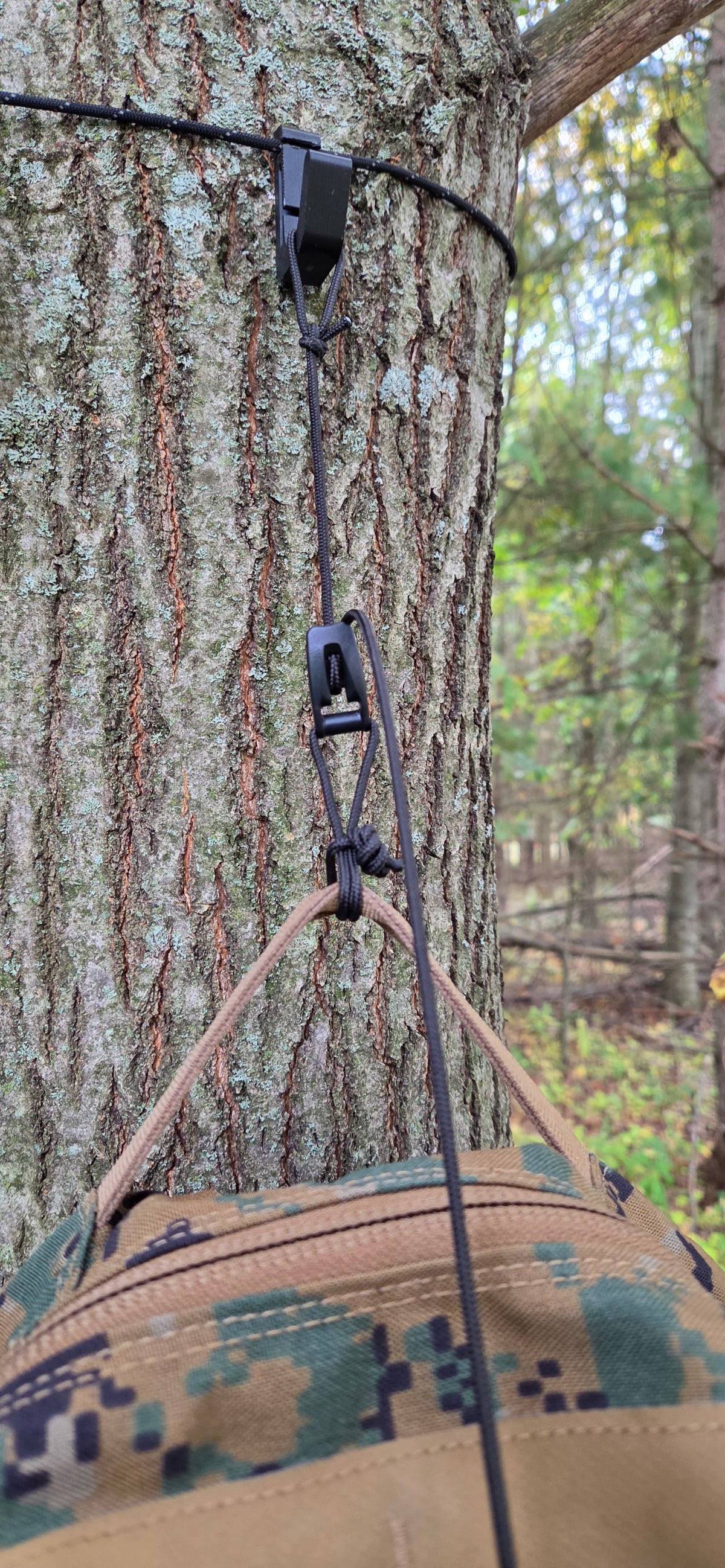 Pack Hoist