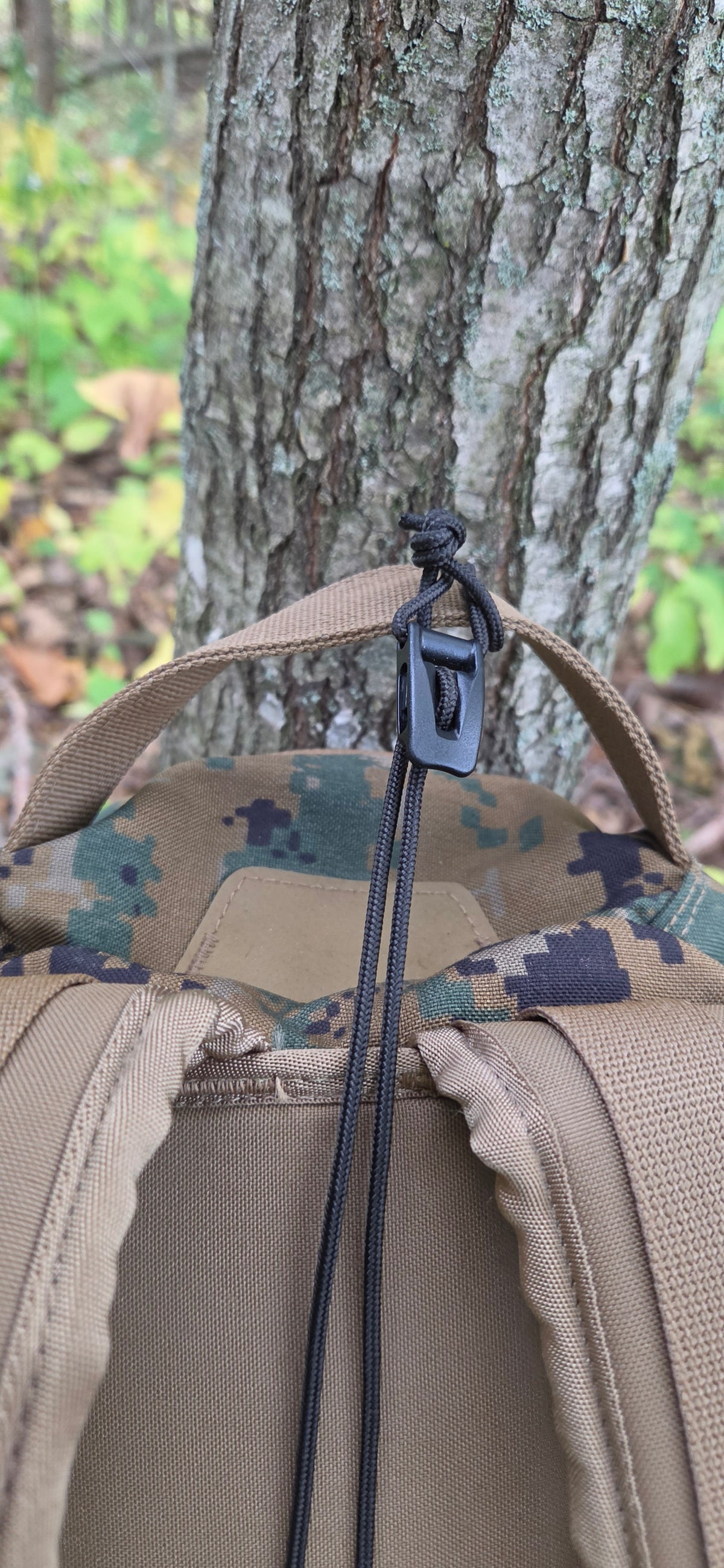 Pack Hoist