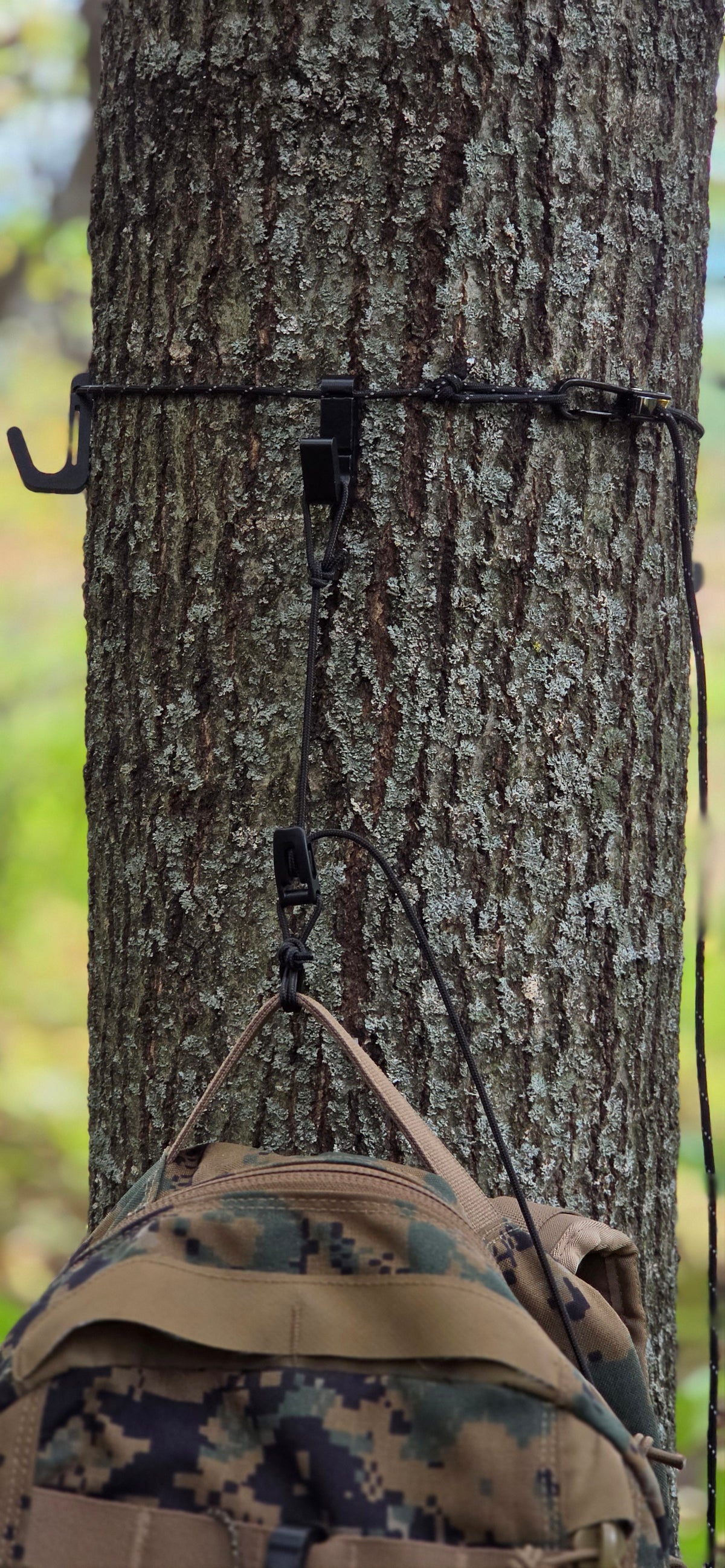 Pack Hoist