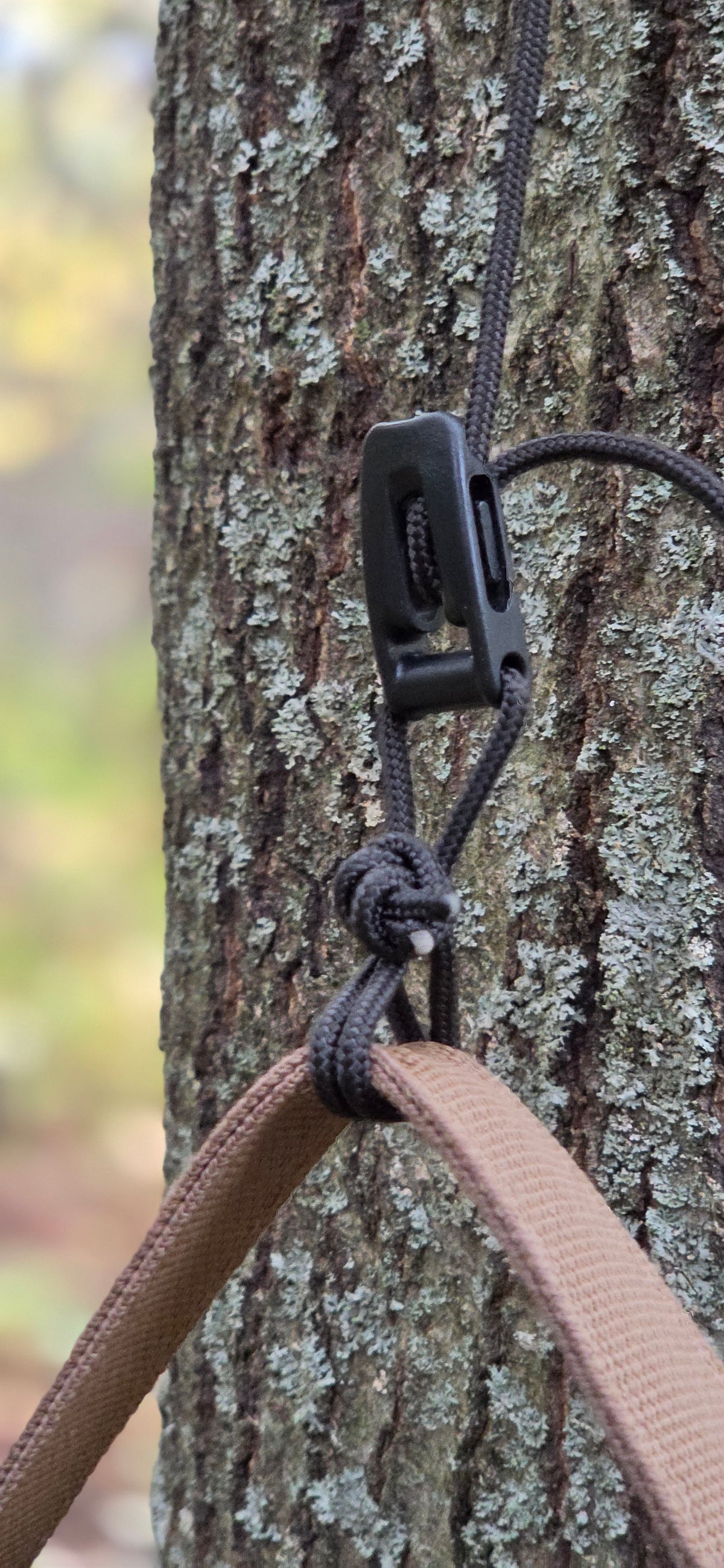 Pack Hoist
